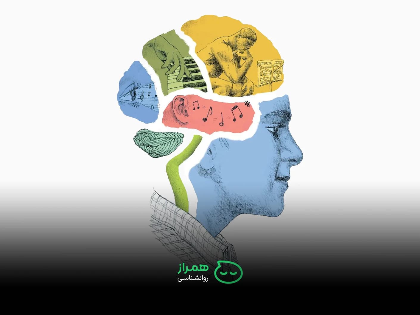 Graphic showing brain regions illustrated with drawings of piano playing, listening, problem-solving, and sensory input