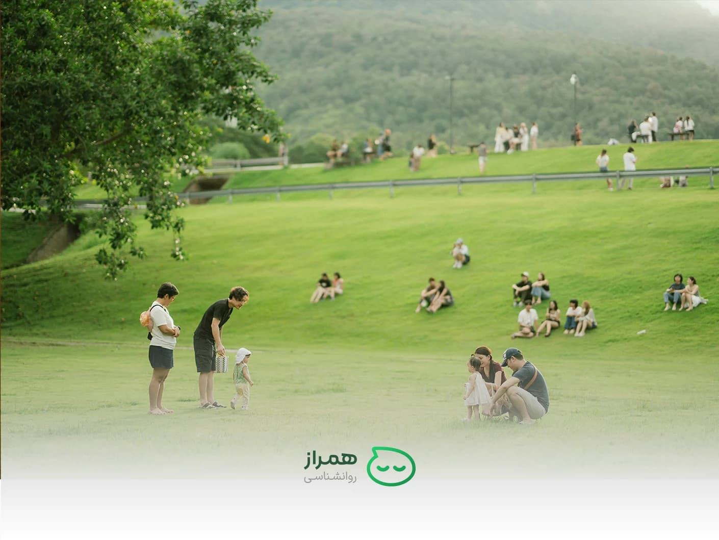 Families spending time together on a large green lawn in a peaceful outdoor park